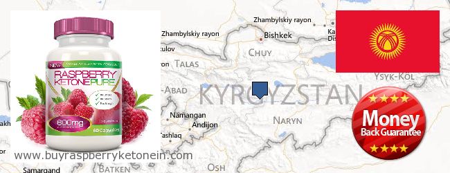 Dove acquistare Raspberry Ketone in linea Kyrgyzstan